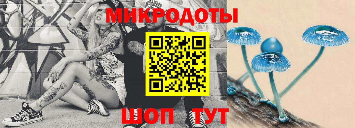 Галлюциногенные грибы Cubensis  дарнет шоп  Елец  Вход с VPN  Псилоцибиновые грибы мухоморы 